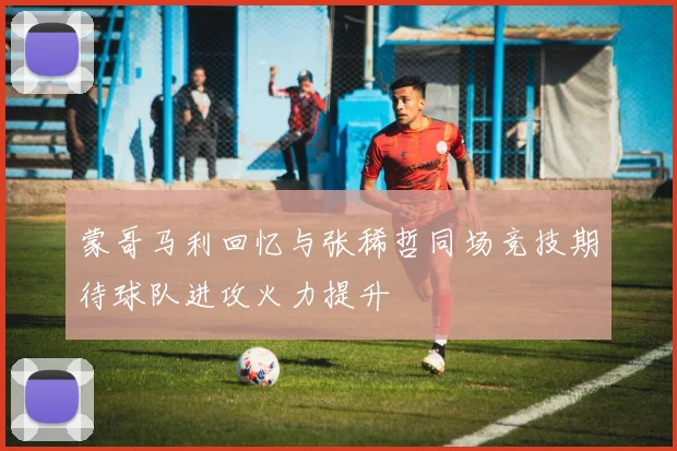 蒙哥马利回忆与张稀哲同场竞技期待球队进攻火力提升